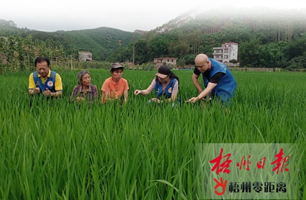 持之以恒，決戰脫貧攻堅