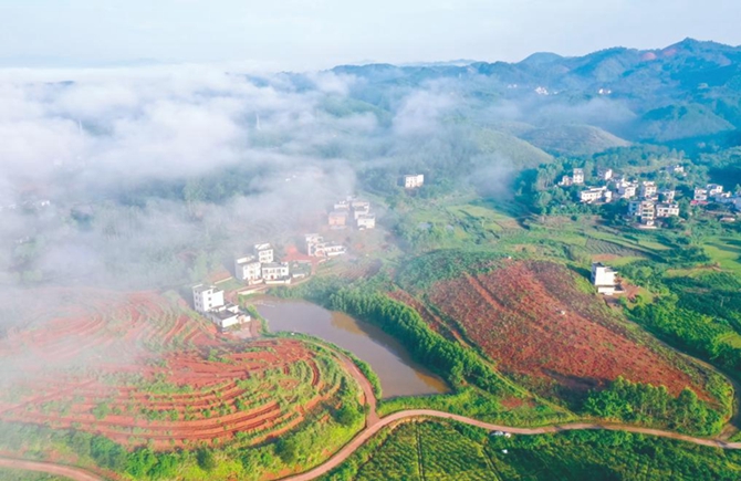 繪就鄉(xiāng)村振興新畫(huà)卷
