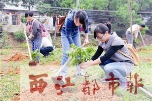參加環(huán)保直通車活動的梧州日報社黨員志愿者，在長洲區(qū)倒水村進行義務(wù)植樹。本報記者 何鎏/攝