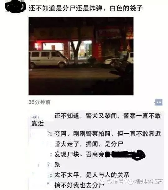 網友的瘋狂猜測 網友的瘋狂猜測
